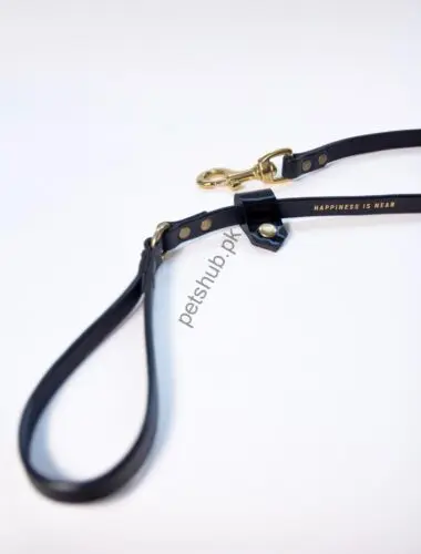 Classic Dog Leash – Black