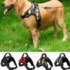 Harness / Chest Strap For Dogs