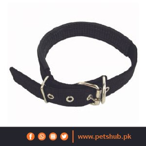 Nylon dog collar with soft padding