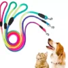 Multi Colour Leash Cats and Dogs