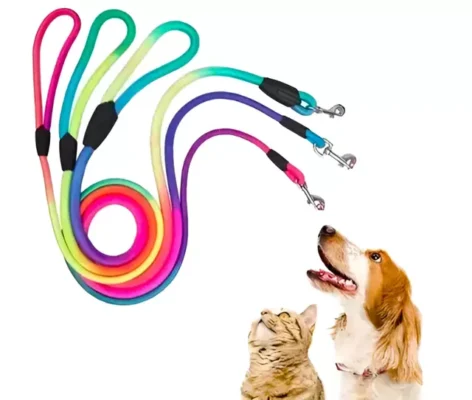 Multi Colour Leash Cats and Dogs