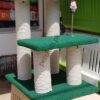 Pole Scratching Post For Cats