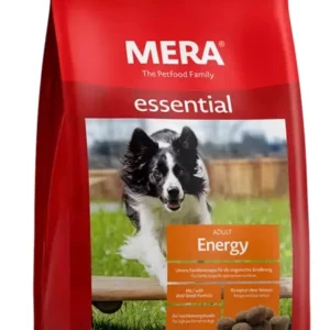 mera-dog-energy