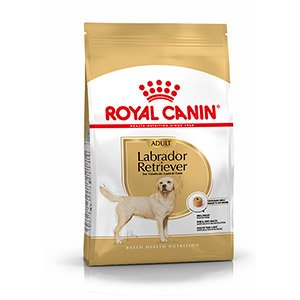 Royal Canin Dog Food for Labrador Retriever Adult