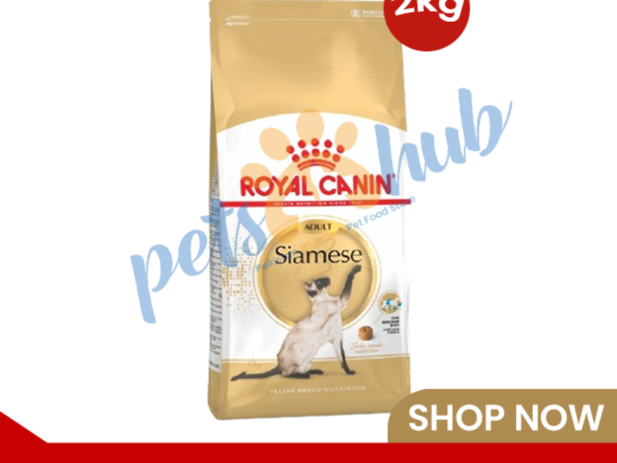 Siamese cat food hotsell
