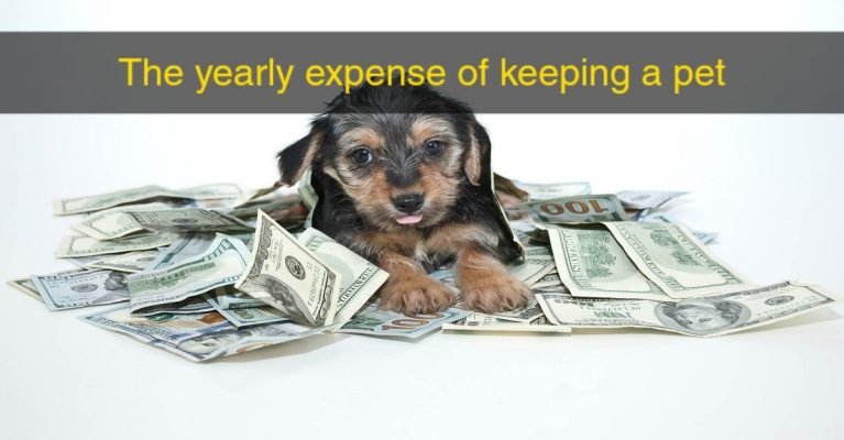 Yearly-Expense-of-a-Pet
