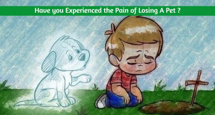 Losing a pet hurt more than people think