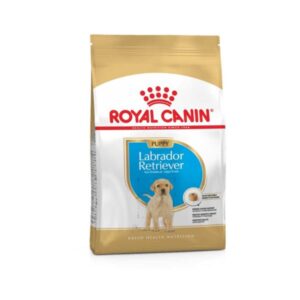 Royal Canin Dog Food for Labrador Puppy