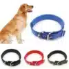 Dog Soft Collar with Buckle