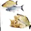 Cat Fish Moving Toy