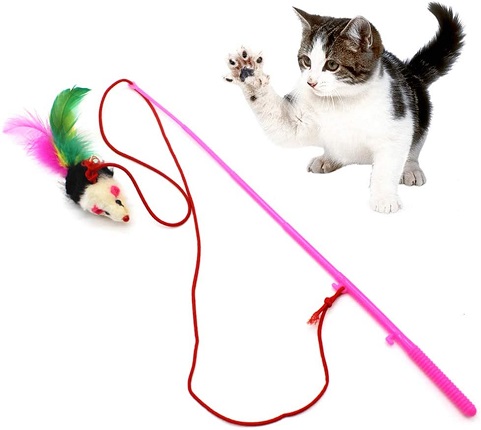 Cat Playing Stick Mouse