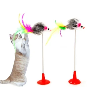 Cat Spring Toy