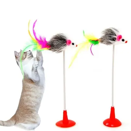 Cat Spring Toy