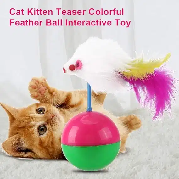 Cats Playing Ball With Mouse Toy