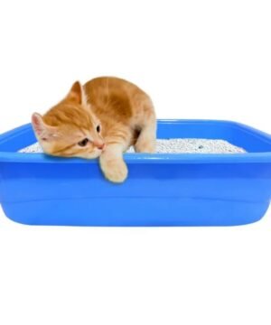 High Quality Litter Tray With Free Scoop