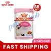 Royal Canin Kitten Jelly Wet Food