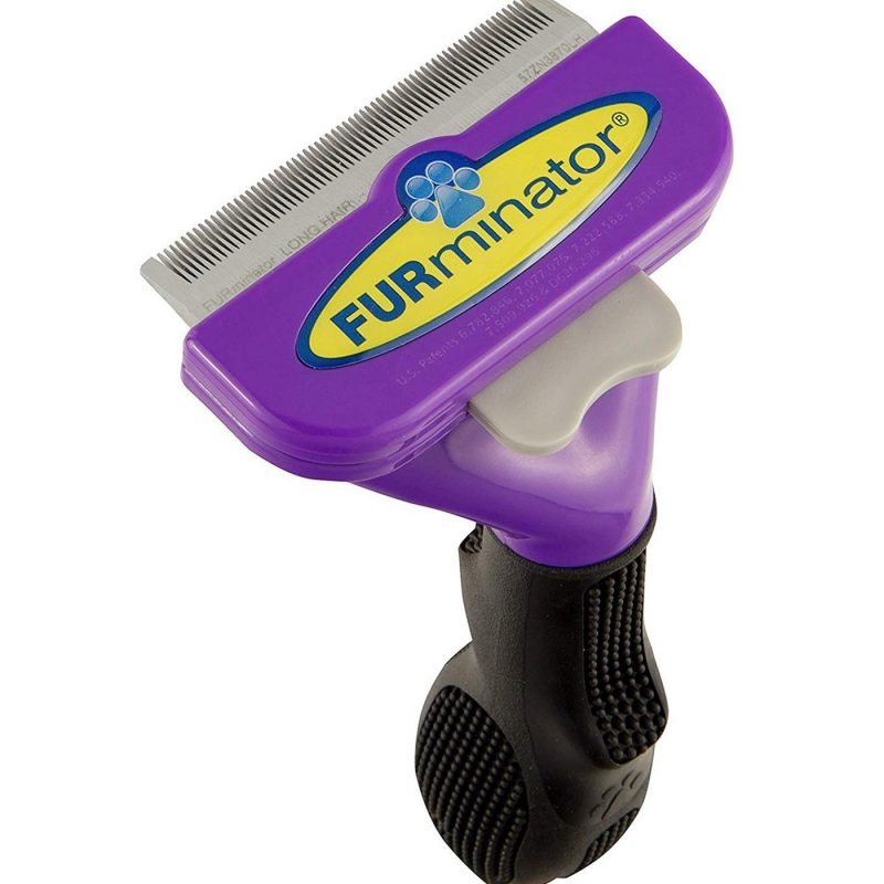 Cat Grooming Tools & Supplies Online in Pakistan Up to 50 Off