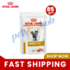 Royal Canin Urinary S/O Cat Jelly