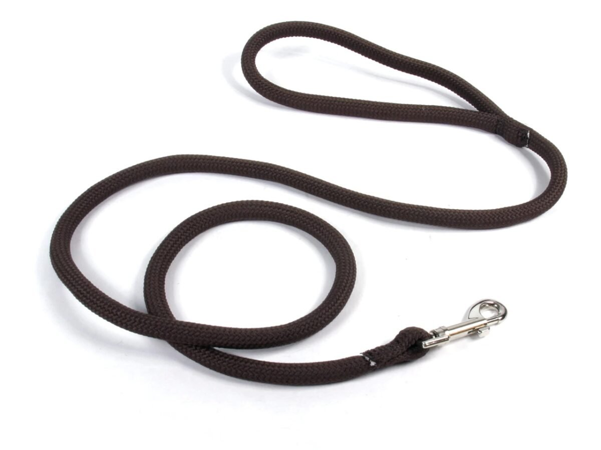 Long rope leash 2025