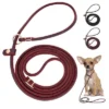 Leather Choke Leash