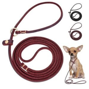 Leather Choke Leash