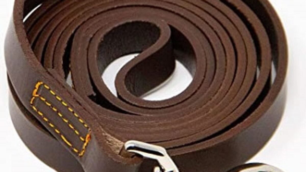 Long leather dog leash online