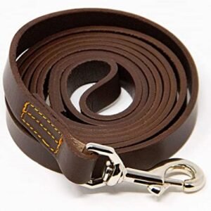 Square Leather Leash