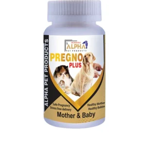 Mega Pregno plus Supplement 200g