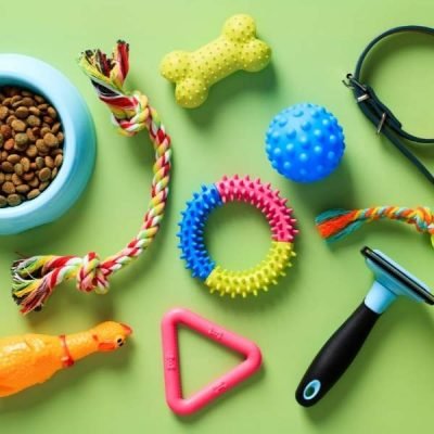 Pet Accessories