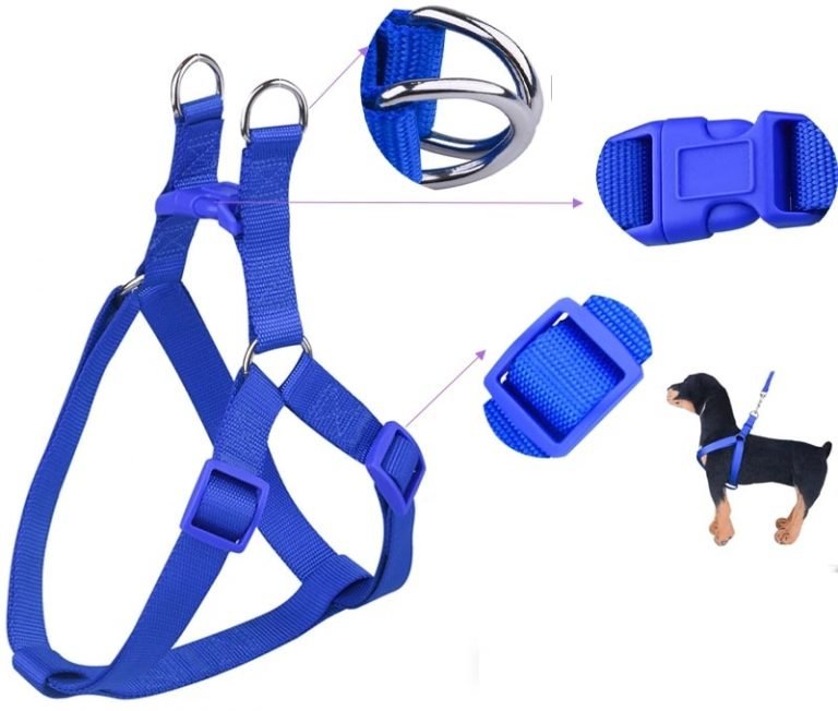 Dog Nylon Body Harness With Leash Strap Belt Petshub.pk