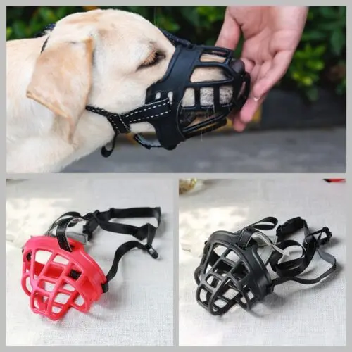 Imported Soft Muzzle For Dogs in Pakistan