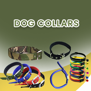 Dog Collars