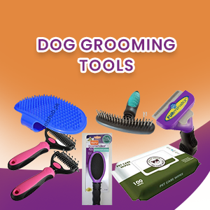 Dog Combs & Brushes