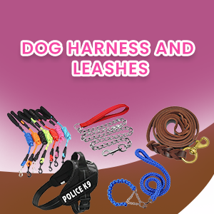Dog Harness and Leashes