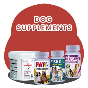 Dog Supplements