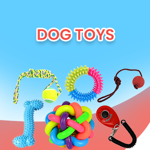 Dog Toys
