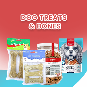 Dog Treats & Bones