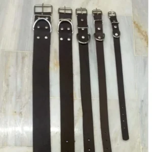 Dog Leather Collar