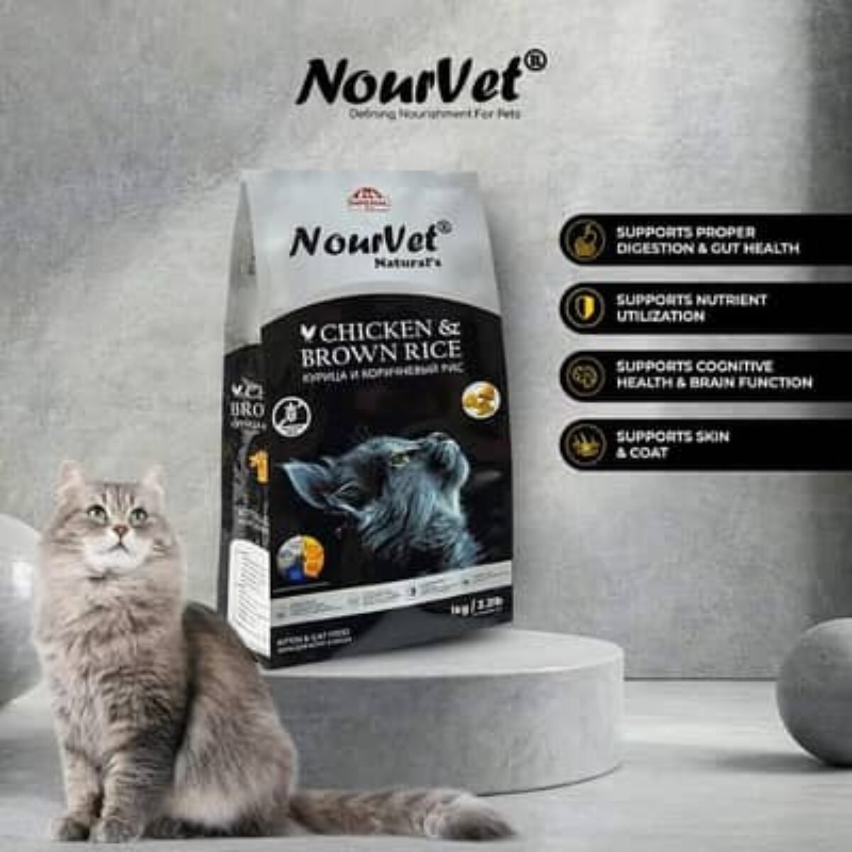 Nourvet Natural Cat Food Price in Pakistan Petshub.pk