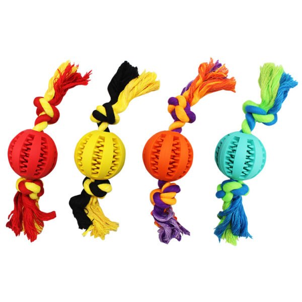 Dog Treat Ball With Rope