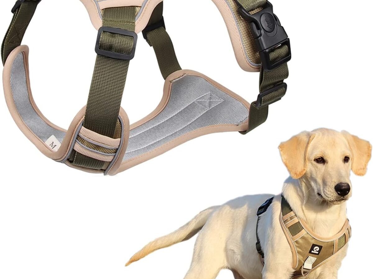 Dog Harness for Full Body Support Petshub.pk