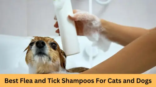 6 Best Flea and Tick Shampoos For Cats and Dogs