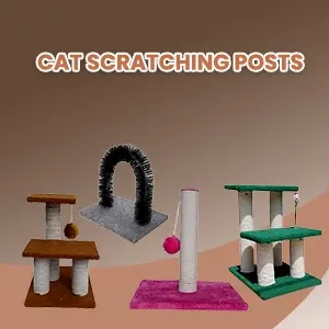 Cat Scratching Posts