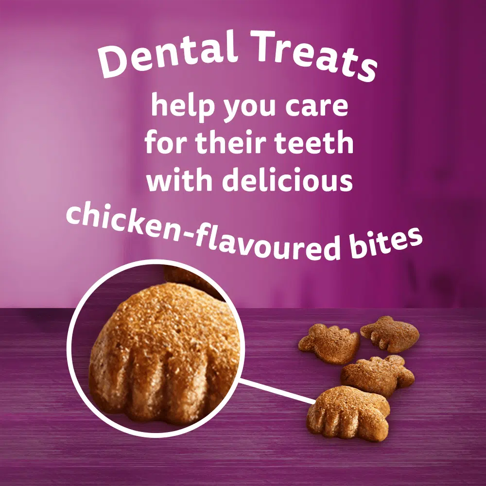 Whiskas DentaBites Cat Treats With Chicken - 40 Gram