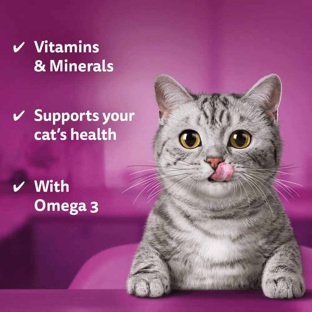 Whiskas DentaBites Cat Treats With Chicken - 40 Gram