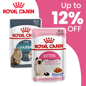 Royal Canin Wet Cat Food