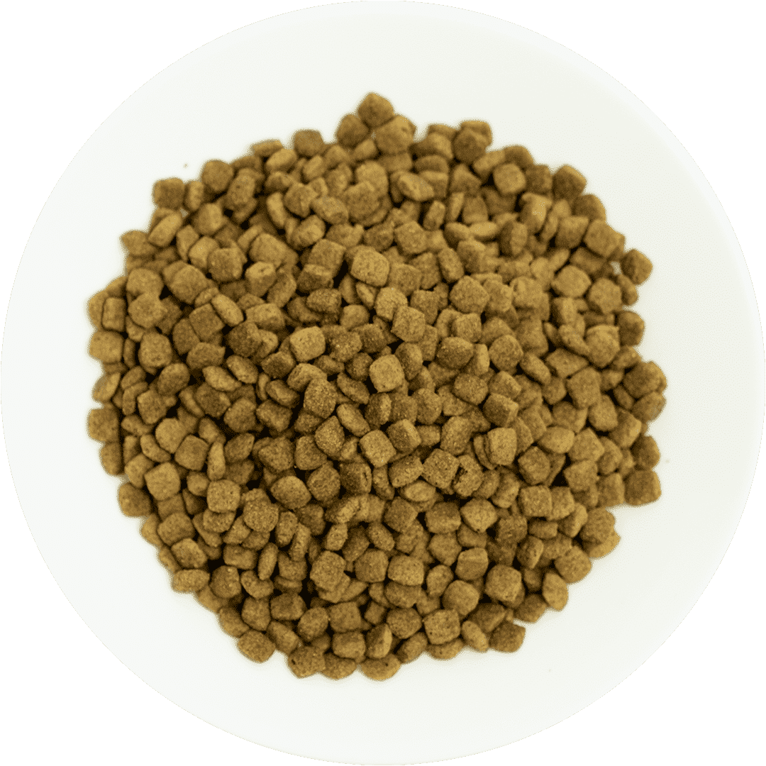 Prochoice Adult Cat Food Chicken & Rice - 2kg