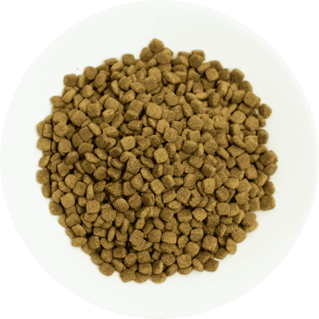 Prochoice Adult Cat Food Chicken & Rice - 2kg