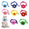 Flower Cat Collar with Bell