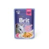 Brit Premium Cat Pouch with Chicken Fillets in Jelly for Adult Cats